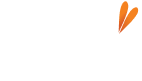 Fiuza, página inicial