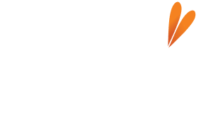 Logo Fiuza